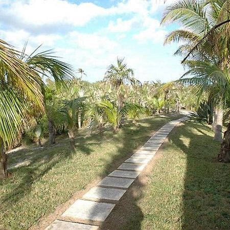 Rocks Retreat By Eleuthera Vacation Rentals North Palmetto Point Esterno foto